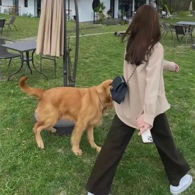 哈林教父第三季